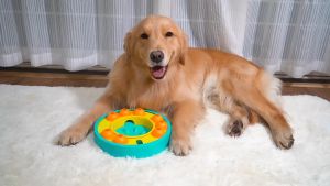 Wisdom Dog & Cat Toy Slow Leakage Feeding Training Dog Toys Leaky Stone Toys Interactive Pet Dog Toy Pet Educational