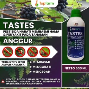 Obat Semprot Hama Daun Anggur / Obat Hama Ulat Tanaman Anggur / Obat Semprot Hama Pohon Anggur / Obat Pembesar Buah Anggur / Obat Penyubur Tanaman Anggur