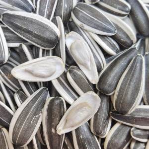 Original Roasted Sunflower Seeds