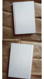 English Book preloved : Louder than Words: Harness the Power of Your Authentic Voice (Self Help-Penguin)