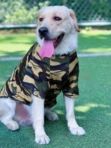 Summer Thin Vest for Medium Dogs Golden Retriever Labrador Border Collie Husky German Shepherd Large Breed Pet Clothes