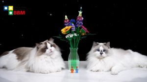 24 Hour Shipping❗❗❗ Compatible building blocks Copy Lego Compatible LEGO Flowers 10313（ 939+PCS）