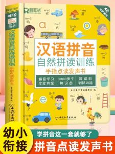 Pinyin Reading Training Book Early Education Machine Sound Book Picture Hanging Chart for Children Learning Toy from China