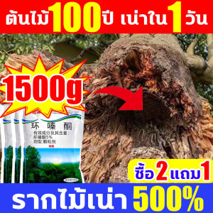 100 ปี ต้นไม้ ผงกำจัด ยาฆ่าตอต้นไม้ ผงฆ่าต้นไม้ สารกำจัด รดน้ำราก รดโดยตรง กำจัดต้นไม้ กำจัดวัชพืช ต้นไม้ ป่าไผ่ ยาฆ่าตอไม้ ยาฆ่าตอไม้ใหญ่