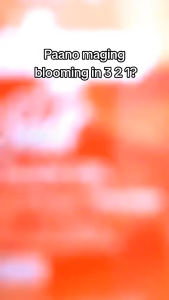 【BUY 1 TAKE 1】Bonita Himalayan Pink Salt Face and Body Oil with SPF 30 Korean Citron Collagen Moringa | Organic