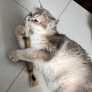 Cat Toy Chew Stick Dental Cleaning Brush Worm Infested Fruit Self Entertaining De-Stress Tool Comprehensive Pet Supplies