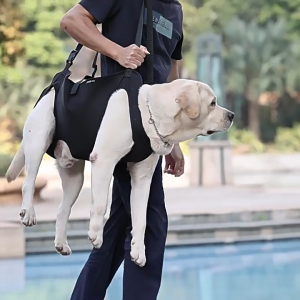 [SG] Dog Assisted Rehabilitation Hind Leg Support Exercises. Harness for Elderly Disabled Dogs