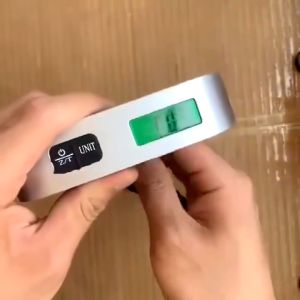 Portable Hook Scale Digital Electronic Kitchen Fishing Scales for Luggage Travel Baggage Bag Weight Tool