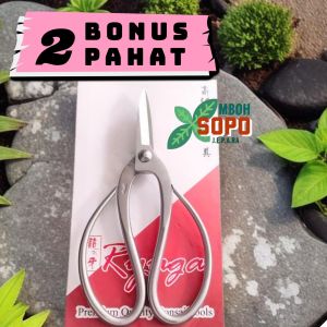 Alat Bonsai Gunting Dahan dan Akar Merk Ryuga Stenlis Rs 04