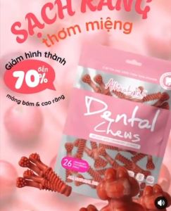 ABSOLUTE PET Dental Chews for Dogs - Tartar & Plaque Control Treats with Mint & Cherry Flavor - Made in Vietnam