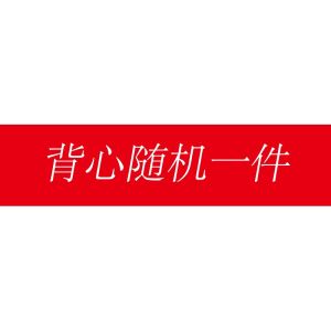 Autumn Outer Wear Underwear New Arrival Cross-Border Bear Pet Clothes Dralon Cat Big Dog Neutral Fall and Winter Dog Heattech