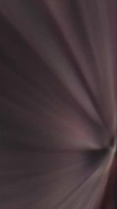 SINGKAWANG – Prabuseno Tunik Atasan Baju Batik Wanita Lengan Panjang Modern Premium Jumbo Big Size Full Furing Pakaian Kemeja Formal