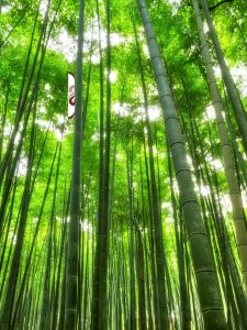 SWENY 100 % Bamboo Towel ขนาด 27X54 นิ้ว 10.6 ปอนด์ ผ้าขนหนูใยไผ่ 100 % สุดพรีเมียม ราคาพิเศษลดสุดๆๆๆ