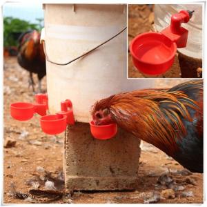 2/4/6PCS Automatic Chicken Water Cup Waterer Kit Water Dispenser for Poultry