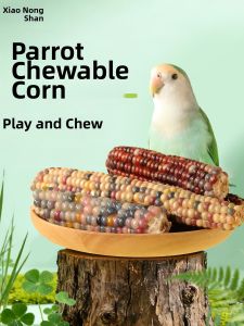 XIAONONGSHAN | Parrot Corn Chewing Rod Snack
