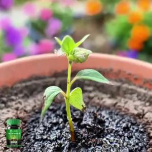 Soil Activator Improve Compacted Soil Promote Nutrient Absorption Root Growth Organic Soil Conditioner Mineral Source Fertilize