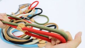 Dây dắt Chó kiêm vòng cổ hình chữ P chiều dài 2.5m (mẫu mới) - Love Pets Shop