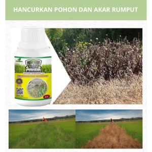 Kill Grass Panda Raja Pembunuh Hama Gulma | Membasmi Lebih Dari 100 Jenis Hama dan Gulma Membandel