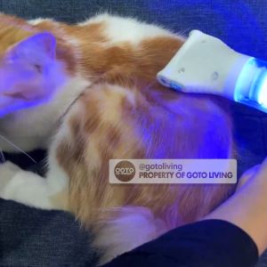 Goto UV Vacuum Sisir Kutu Elektrik Rambut Penghilang Kutu