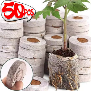 บล็อกเพาะกล้า50/10ชิ้นปลั๊กเริ่มต้นอัดสารอาหารแบบพรุก้อนสื่อกระถางเพาะชำอุปกรณ์สวนเรือนกระจก
