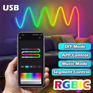 Bluetooth Neon LED Strip Lights 5V Flexible Light Strip USB RGBIC Dreamcolor Chasing Strip RGBIC Neon Rope Light with Music Sync