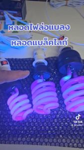 หลอดแมลงดา 200W 45วัตต์ ไฟล่อแมลง หลอดล่อแมลง หลอดสะท้อนแสง 20W 45W หลอดแบล็คไลท์ E27 BLACKLIGHT