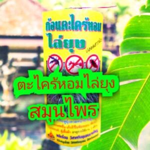 🔥ก้อนตะไคร้หอมไล่ยุง สมุนไพรแท้💯%🔥(พร้อมส่งราคาถูก)👉(ร้านส่ง)🔥กลิ่นหอมละมุนสดชื่นแบบธรรมชาติ ก้อนตะไคร้หอมผลิตภัณฑ์ออแกนิก จากธรรมชาติ