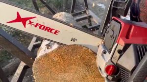 Panduan Membeli Gergaji Mesin 16in & 22in Guide Bar Chainsaw