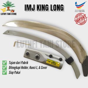 EGREK IMJ KING LONG TERBARU