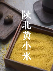 💯浓稠米脂小米黄小米 500g Premium Yellow Thick Millet