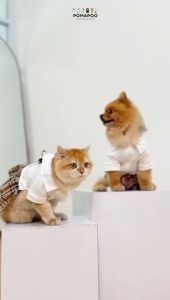 POMAPOO - Baju Kucing dan Baju Anjing Pawberry Oppa Jumpsuit dan Unnie Dress Premium Berkualitas