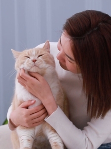 Petus เครื่องให้อาหารสัตว์เลี้ยง เครื่องให้อาหารอัตโนมัติ Pet feeder รักษาอาหารให้สดได้ยาวนาน ความจุ 3ลิตร ฝาปิดสนิท ลดความชื้น