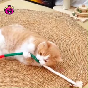 ของเล่นเชือกแมว กัดสนุก เคี้ยวสบาย เชือกฝ่ายธรรมชาติ ทําความสะอาดฟัน ผลมาทาทาบิดึงดูด มี4สี ของเล่นแมว PET SAIM-D8