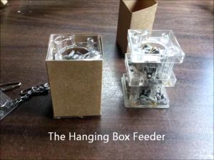 Paradise Toys Foraging Box Feeder