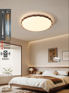 DGY | Retro Modern Simple Eye-protecting Ceiling Light