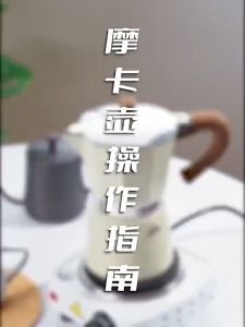 French Press Mocha Coffee Pot Brewing Apparatus: A Comprehensive Guide