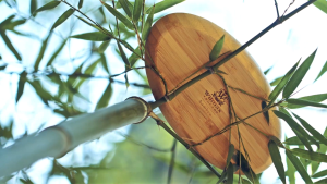 Wilmax England Bamboo Dish 30.5X15Cm