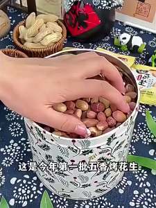 FANZUZHEN | Five Spice Roasted Oil Free Garlic Peanuts 5 Kg