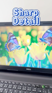 [Refurbished] Dell Vostro 15 | Intel i7 Laptop | Up to 256GB SSD | 15.6 Inch Laptop | Sleek Design | Windows 11 + Free MS Office | SG Seller | Fast Shipping