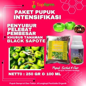 Pupuk Buah Black Sapote / Pupuk Penyubur Pohon Black Sapote / Pupuk Pembesar Buah Black Sapote Jumbo / Pupuk Booster Buah Black Sapote Terbagus