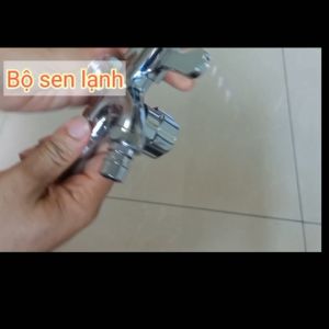 Củ sen lạnh bộ củ sen 1 đường nước lạnh củ sen tắm đơn lạnh