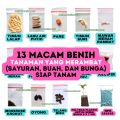 Paket Benih Gemuk Multi-Warna Merambat untuk Sayuran, Buah, dan Bunga - Bonus Pupuk NPK. 