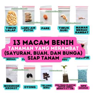 13 MACAM BENIH TANAMAN YANG MERAMBAT Bibit Bunga Sayuran Buah Bonus Pupuk Npk Polybag Siap Tanam
