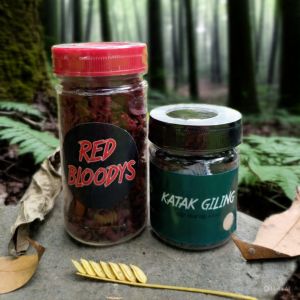 Maggot Red Bloodys X Katak Giling RKFish Aquatic Kombinasi Pakan Progres Auranti Pelet Auranti Pakan Auranti