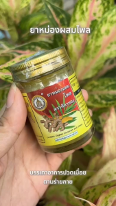 สมุนไพรศิลาทอง ยาหม่องผสมไพล ตราศิลาทอง