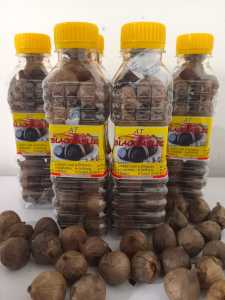 bawang tunggal oven/garlic 100