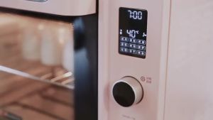 HAUSWIRT C40 40L Electric c/w Oven Aluminum Tray 1800W ( Sakura Pink / Ice Blue )