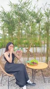 5 hộp tặng 1 khô bò tây bắc beef jerky classic Quang Hiển đậm đà hương vị tự nhiên hộp 100gr