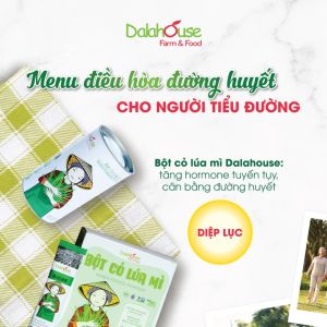 Bột Cỏ Lúa Mì Sấy Lạnh Nguyên Chất Dalahouse - Hộp giấy 120gr