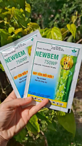 [VTNN TIEN KHOA] Thuốc trừ bệnh  NewBem 750WP công ty HAI gói 25 gram Trừ nấm bệnh dưỡng xanh lá đòng